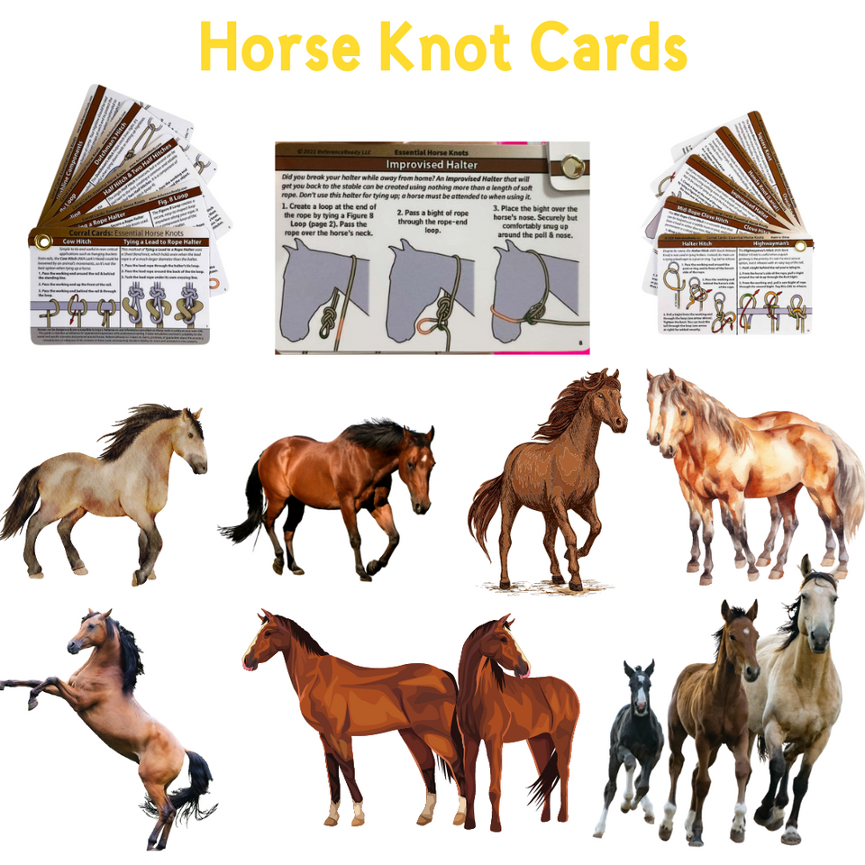 D_ Horse Knot Cards