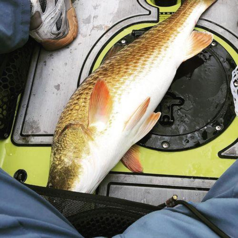 High Simulation Lure Soft Bait