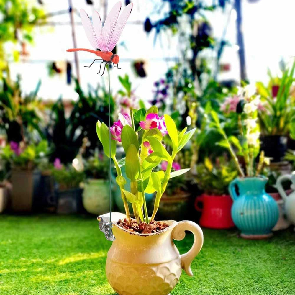 Decorative plant in a pitcher with a dragonfly ornament in a garden setting