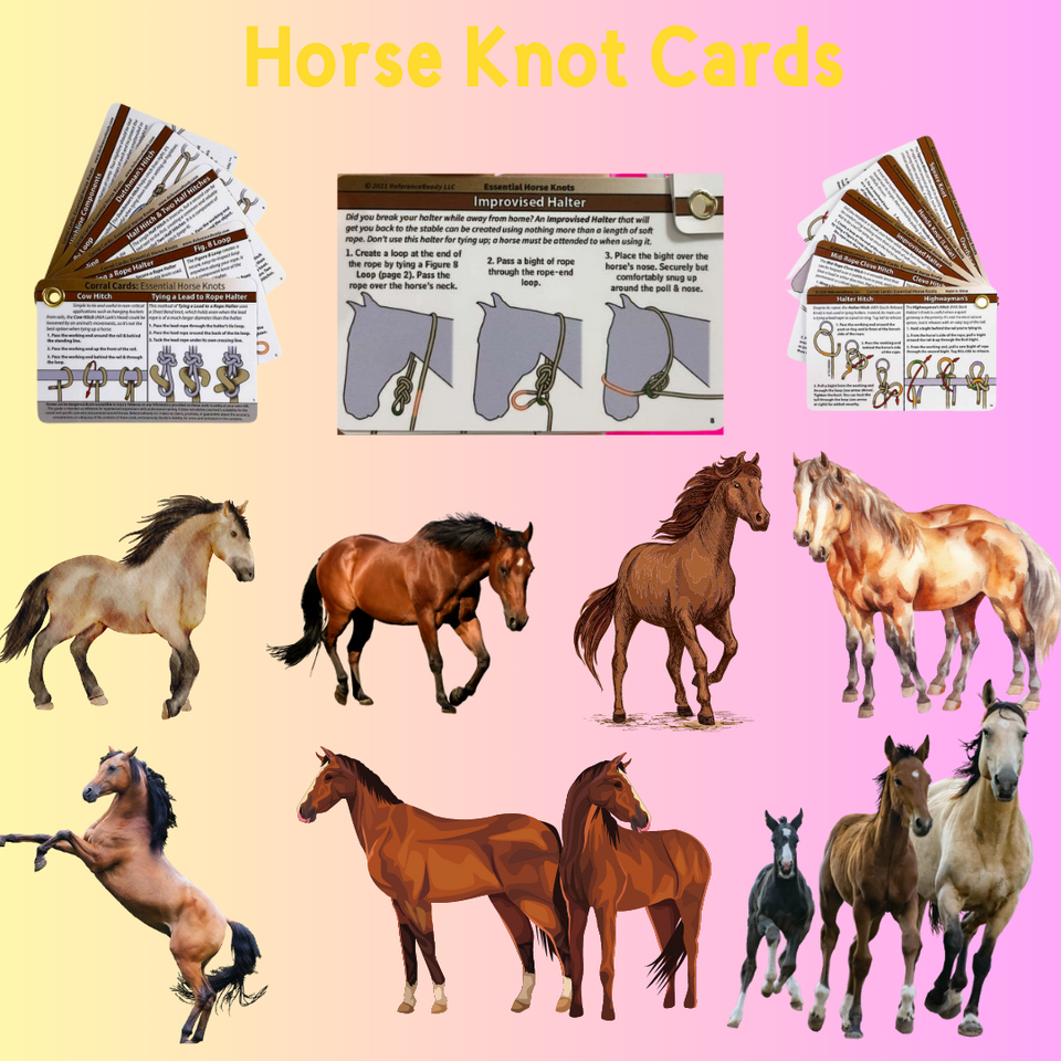 D_ Horse Knot Cards