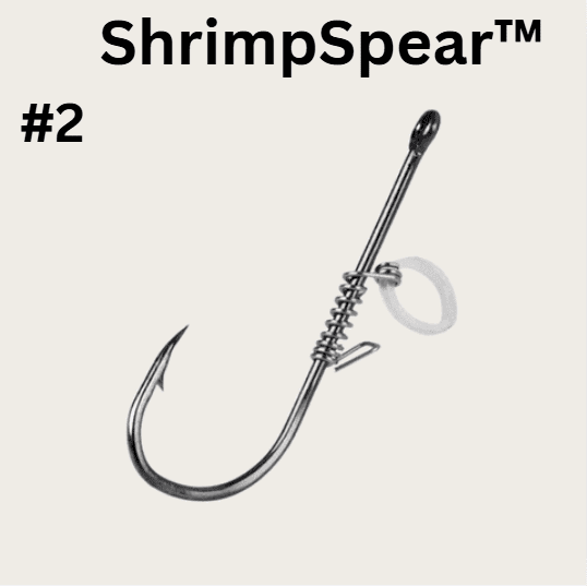 Live Fish Hook on Shrimp Back