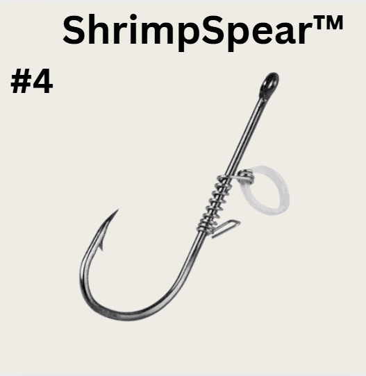 Live Fish Hook on Shrimp Back