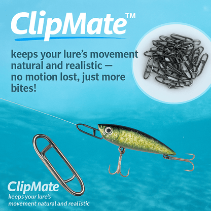 ClipMate™ Mixed
