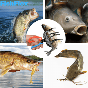 Fisherman Holding a Large Fish with FishFlex Three-Claw Gripper
