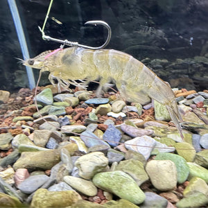 1 ShrimpSpear™