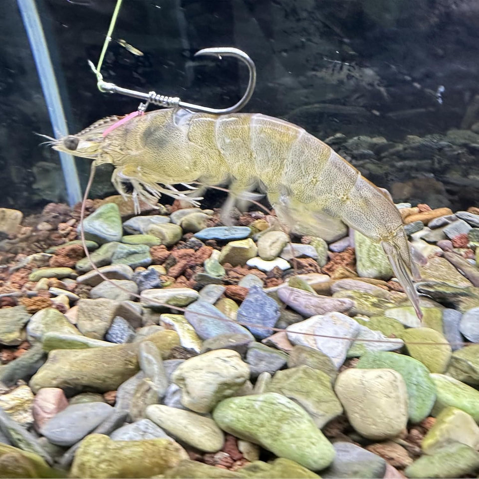 1 ShrimpSpear™