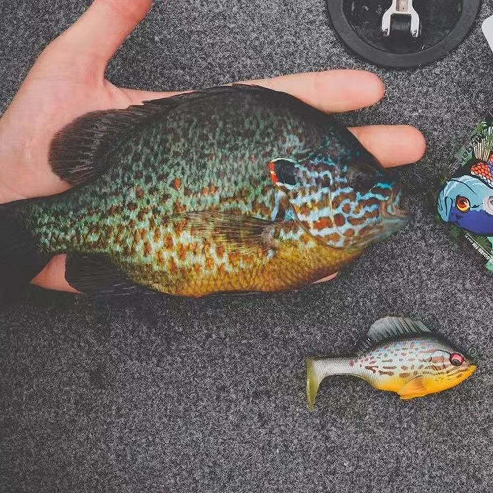 🎣 Pre-Rigged Soft Lures
