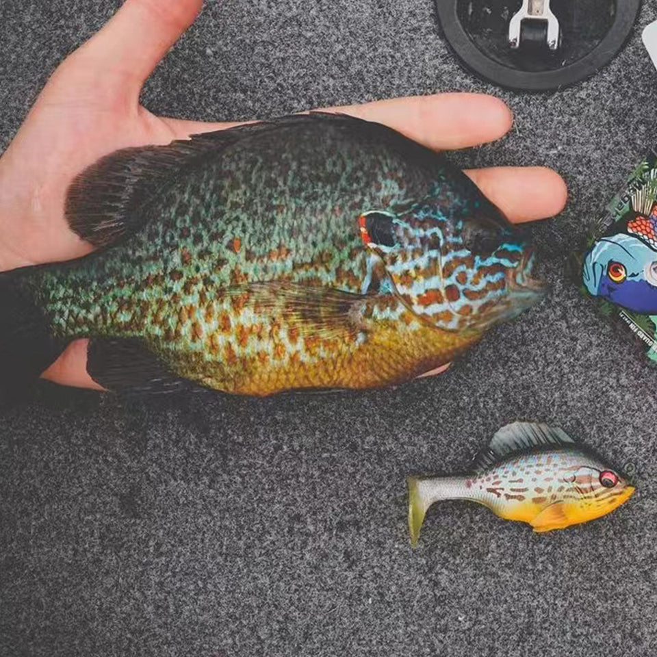 🎣 6Pcs Pre-Rigged Soft Lures