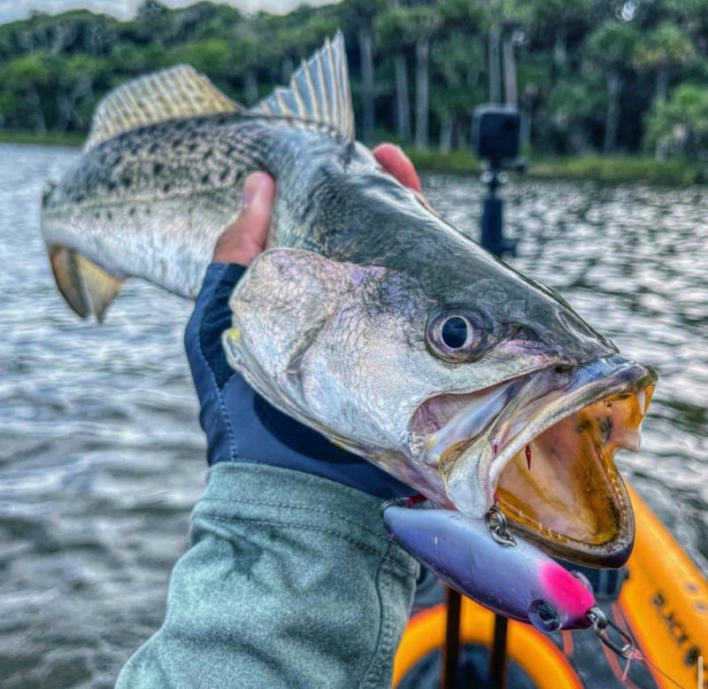 Person holding a large fish caught with a lure near water