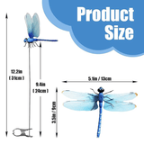 3D Dragonfly Clip