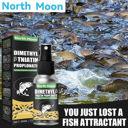 Natural bait Scent Fish Attractants for Baits