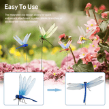 3D Dragonfly Clip