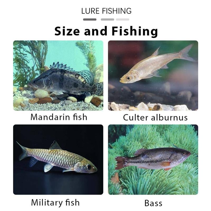 🎣 Pre-Rigged Soft Lures