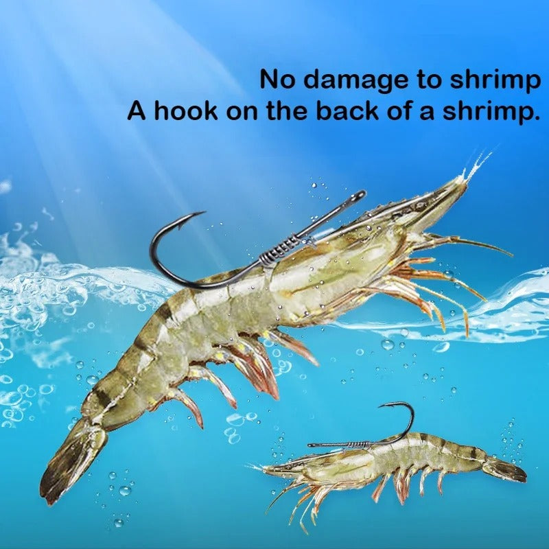 Live Fish Hook on Shrimp Back