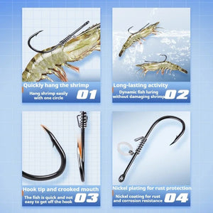 Live Fish Hook on Shrimp Back