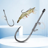 Live Fish Hook on Shrimp Back