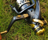 fishing reel SW50 60