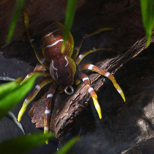 a SPIDER SOFT LURE