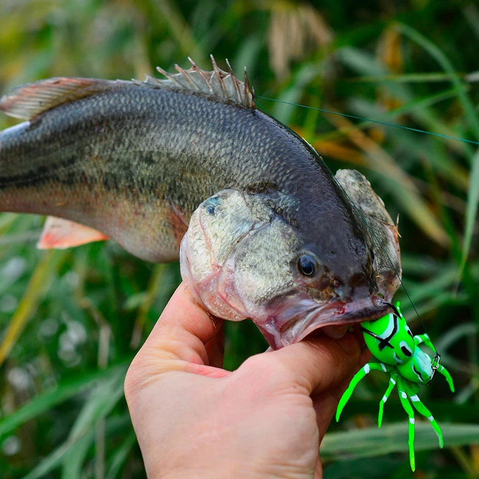 a SPIDER SOFT LURE