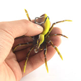 a SPIDER SOFT LURE