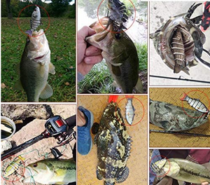 B fishing lures