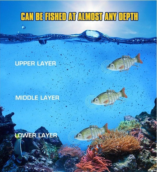 B fishing lures