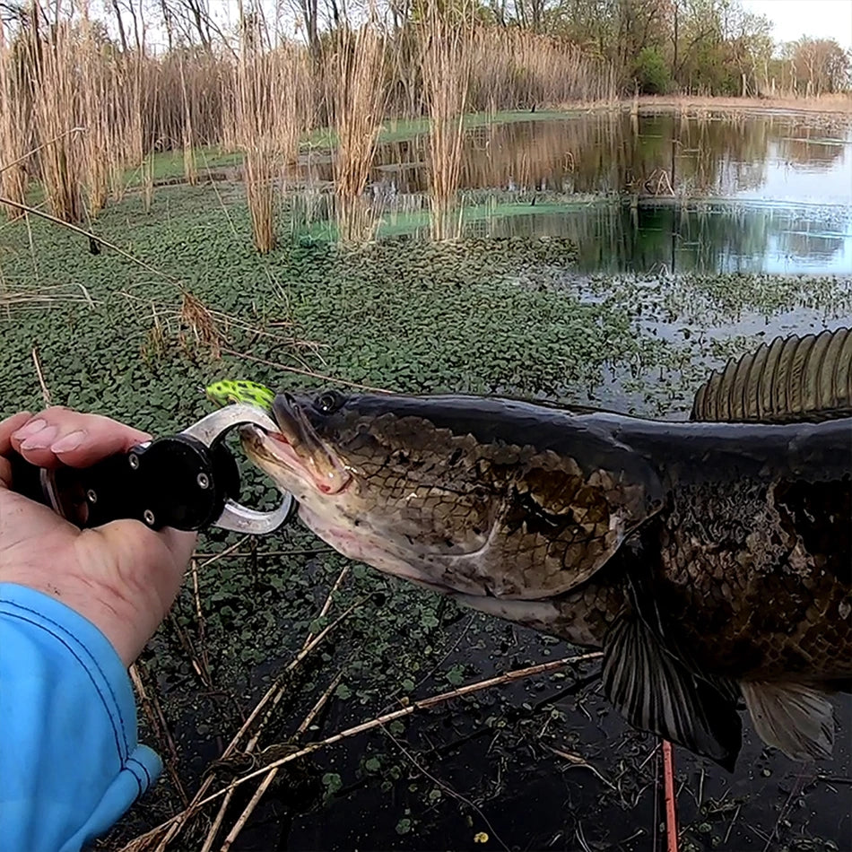 a DOUBLE PROPELLER FROG SOFT BAIT